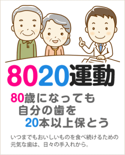 8020運動